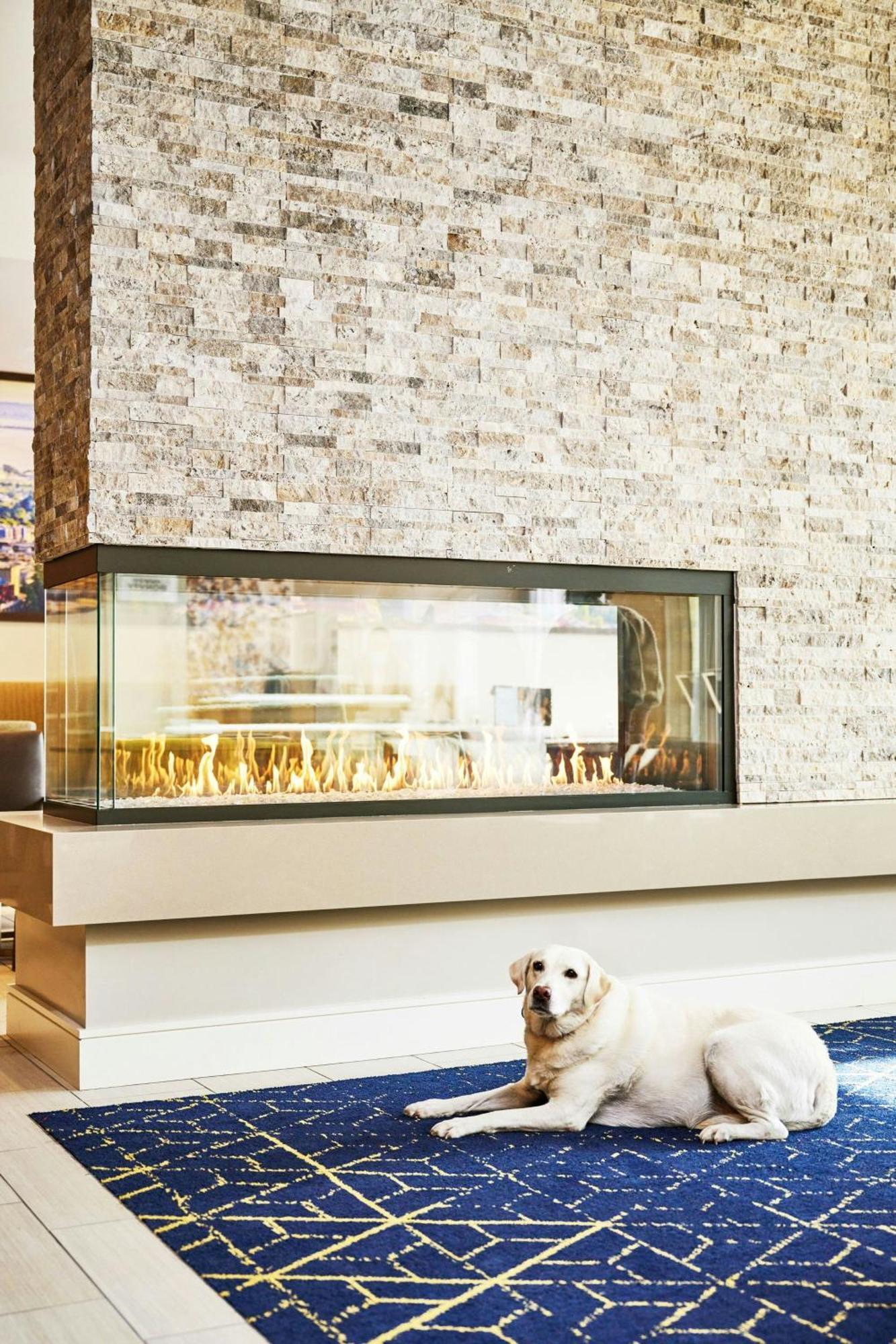 Residence Inn By Marriott ברקלי מראה חיצוני תמונה